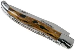 Laguiole En Aubrac 12cm Double Plates, Hand-filed Cactus, L0712CA51-FSI1 -Knifeshop AUL0712CA51 FSI1 04 laguiole en aubrac v202010