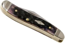 Case Peanut Purple Bone, Standard Jig, 31623, 6220 SS Pocket Knife -Knifeshop CE31623 04 case knives