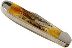 Case Copperhead 6.5 BoneStag, 65323, 6.5249 SS Pocket Knife -Knifeshop CE65323 04 case