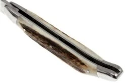 Forge De Laguiole 11cm Deer Horn 1211INCFBRI -Knifeshop LA1211INCFBRI 05 forge de laguiole la1211incfbri 05