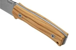 Lionsteel M4 Olive MagnaCut M4-MC-UL, Knivesandtools Exclusive, Fixed Knife -Knifeshop LI M4 MC UL 04 lionsteel